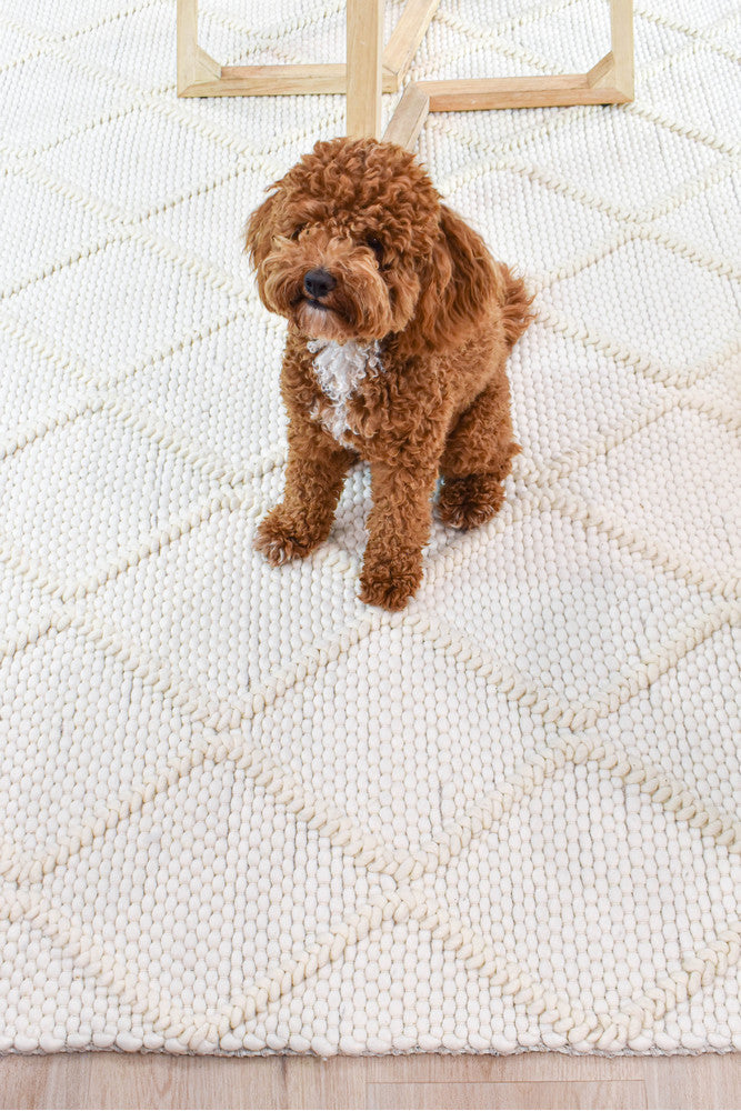 Allure Diamond Frost Wool Rug