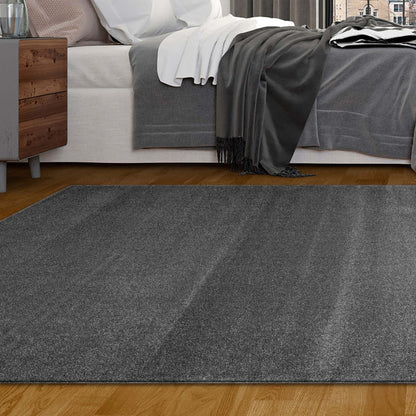 Sierra 6365 in Dk Grey Rug