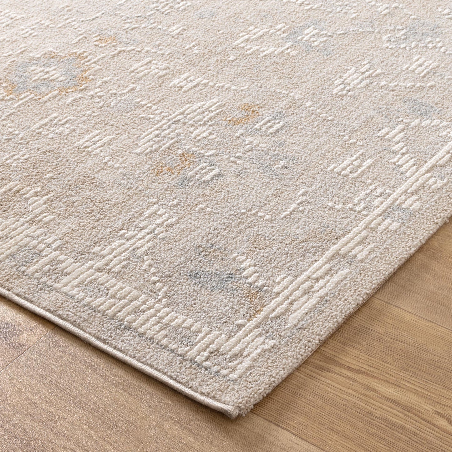 Trend Floral Transitional in Beige Rug