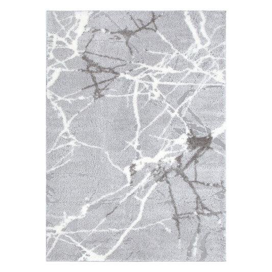 Tender Abstract Shag In Silver Rug