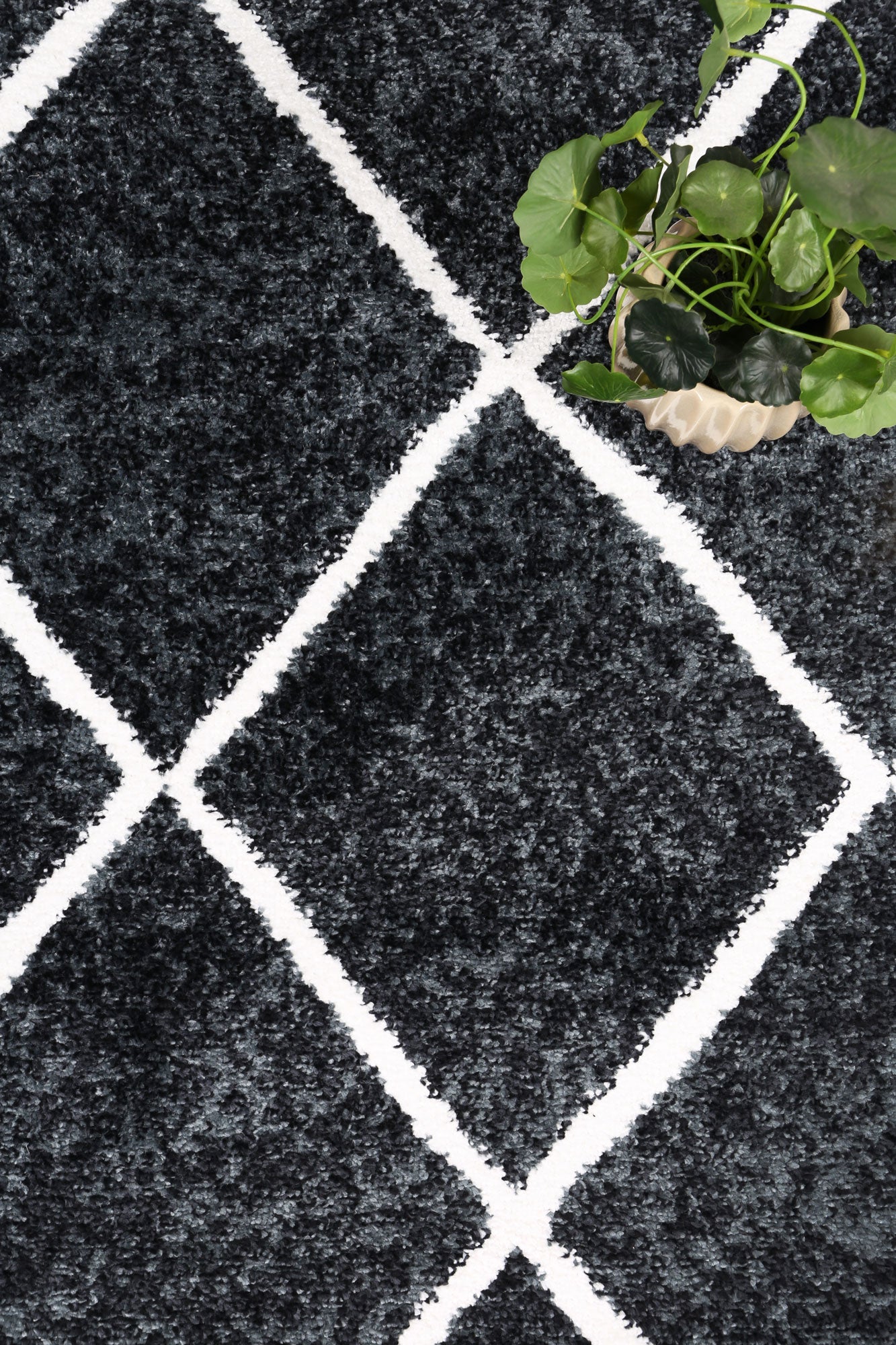 Christina Trellis Contemporary In Charcoal Rug